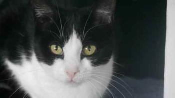 Polly Bild von Polly