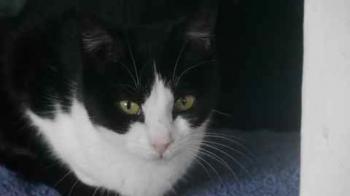 Polly Bild von Polly