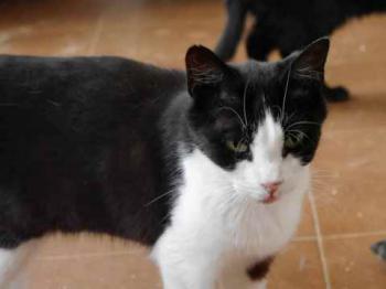 Polly Bild von Polly