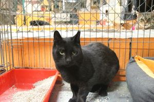 Bild von Brandy