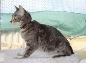 Gilda Bild von Gilda