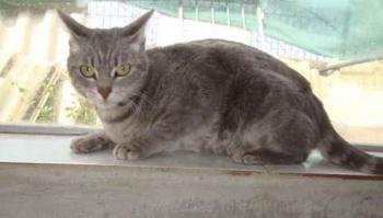 Gilda Bild von Gilda