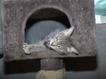 Gilda Bild von Gilda