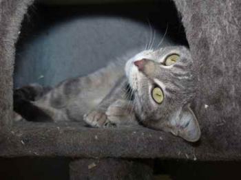 Gilda Bild von Gilda