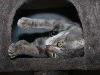 Gilda Bild von Gilda