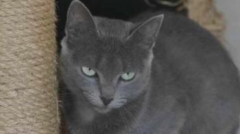 Jana Bild von Jana