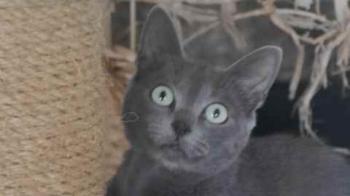 Jana Bild von Jana