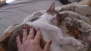 Prince Bild von Prince