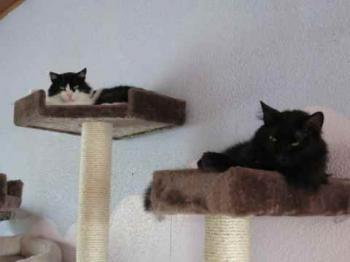 Caro Bild von Caro