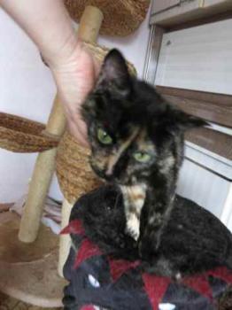 Geraldina Bild von Geraldina