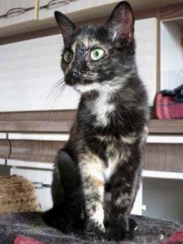 Geraldina Bild von Geraldina