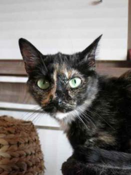 Geraldina Bild von Geraldina