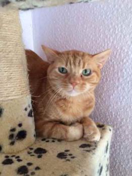 Anakin Bild von Anakin