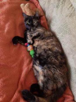 Keiko Bild von Keiko