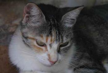Cindy Bild von Cindy