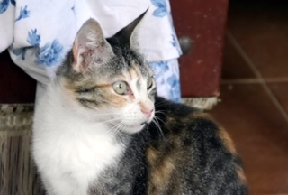 Cindy Bild von Cindy
