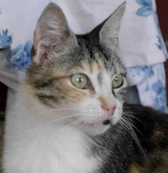 Cindy Bild von Cindy