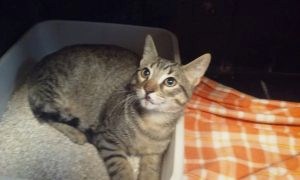 Lenny Bild von Lenny