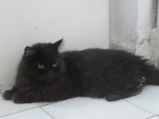 Zeidan Bild von Zeidan