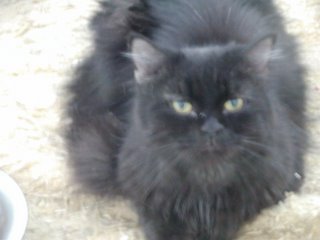 Zeidan Bild von Zeidan