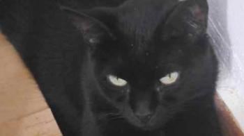 Temsin Bild von Temsin