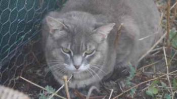 Shari Bild von Shari