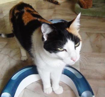 Trixi Bild von Trixi