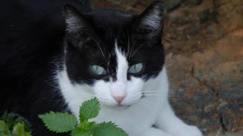 Fritzi Bild von Fritzi