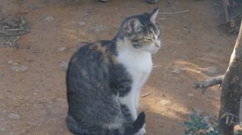 Cindy Bild von Cindy