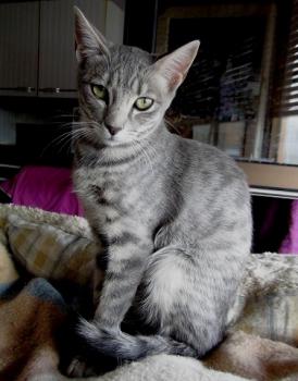 Sookie Bild von Sookie