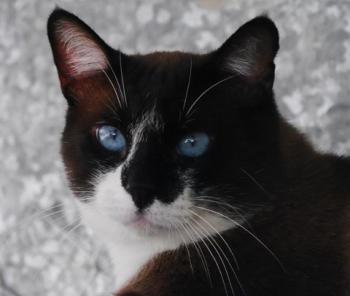 Sanouk Bild von Sanouk
