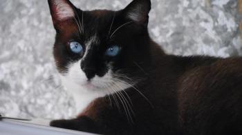 Sanouk Bild von Sanouk