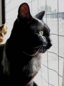 Anette Bild von Anette