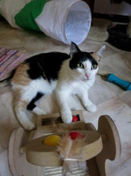 Trixi Bild von Trixi