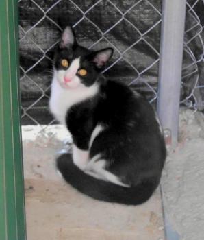 Curro Bild von Curro