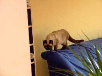 Runa Bild von Gabi