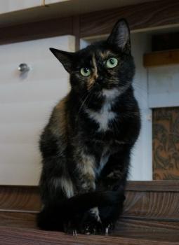 Geraldina Bild von Geraldina