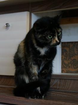 Geraldina Bild von Geraldina