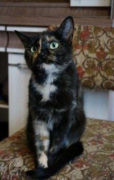Geraldina Bild von Geraldina