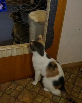 Bild von Narru