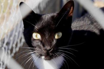 Auxi Bild von Auxi