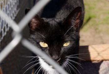 Auxi Bild von Auxi