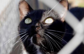 Auxi Bild von Auxi