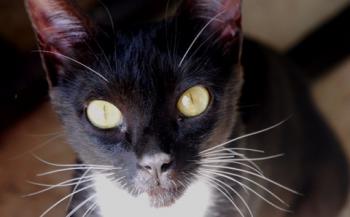 Auxi Bild von Auxi