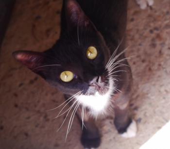 Auxi Bild von Auxi