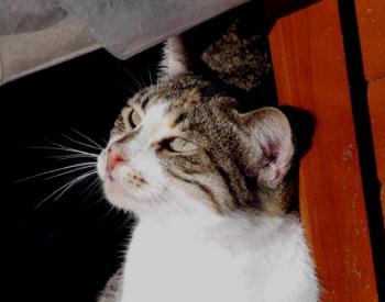 Lotte Bild von Lotte