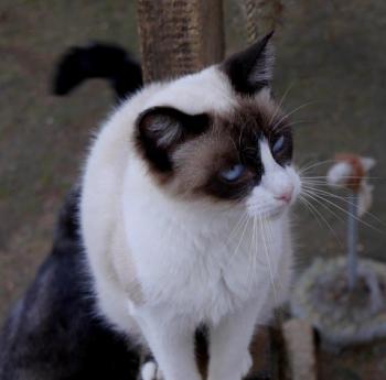 Cilia Bild von Cilia