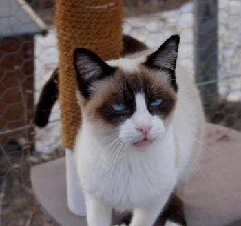 Cilia Bild von Cilia