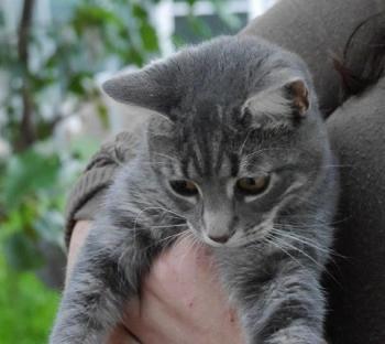 Bibi Bild von Bibi