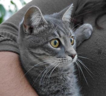 Bibi Bild von Bibi